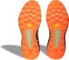 Dynafit Trail Graphic Traillaufschuhe
