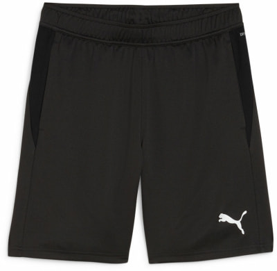 Puma teamGOAL Trainingsshorts