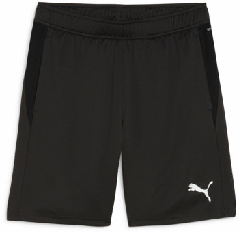 Puma teamGOAL Trainingsshorts