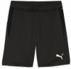 Puma teamGOAL Trainingsshorts