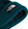 Grüne Strickmütze mit The North Face Logo auf schwarzem Patch.
