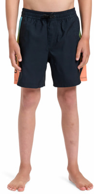 Quiksilver Everyday Holmes Badeshorts