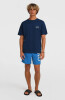 O'Neill O'riginals Cali T-Shirt
