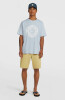 O'Neill Musthave Graphic T-Shirt