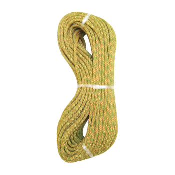 Tendon Instinct Einfachseil