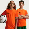 Nike Dri-FIT Park VIII Fußballtrikot