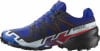 Salomon Speedcross 6 GTX Equipe Traillaufschuhe
