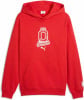 ÖFB 2026 Culture Hoodie