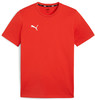 Puma teamGOAL Casuals T-Shirt