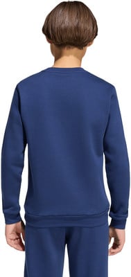 Rückansicht eines Jungen im dunkelblauen Sweatshirt und Jogginghose. Rückansicht eines Jungen im dunkelblauen Sweatshirt und Jogginghose.