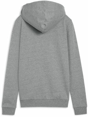 Puma teamGOAL Trainingsjacke mit Kapuze