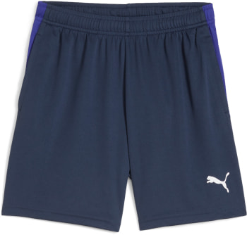 Puma IndividualFinal Trainingsshorts