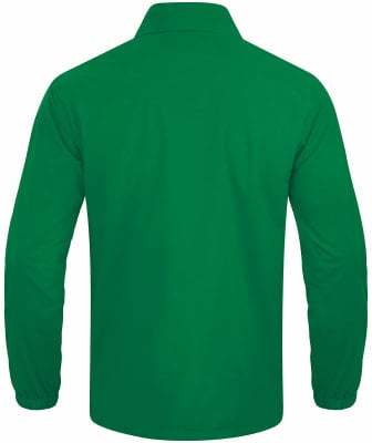 Grüne Herrenjacke mit langen Ärmeln und Kragen, Rückansicht. Grüne Herrenjacke mit langen Ärmeln und Kragen, Rückansicht.