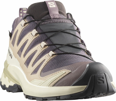 Salomon XA Pro 3D V9 GTX Traillaufschuhe