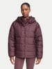Damen-Steppjacke mit Kapuze in Dunkelviolett.