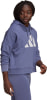 adidas Future Icons Hoodie