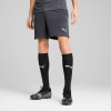 Puma IndividualLIGA Trainingsshorts