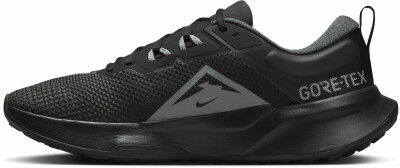 Nike Juniper Trail 2 GTX V2 Traillaufschuhe