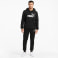 ESS Big Logo Hoodie férfi kapucnis felső