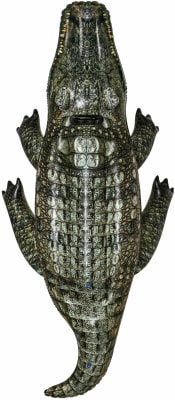 Bestway Krokodil Aufblastier