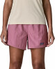 Patagonia Baggies Shorts