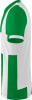 Erima Siena 3.0 Trikot