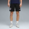 Puma ÖFB 2026 Trainings Fußballshorts