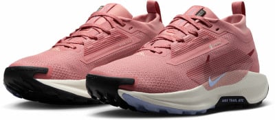 Nike Pegasus Trail 5 GTX Traillaufschuhe