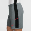 Nike Academy Dri-FIT Shorts