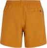 O'Neill Cali Swim Badeshorts