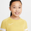 Nike Dri-FIT Academy gyerek póló