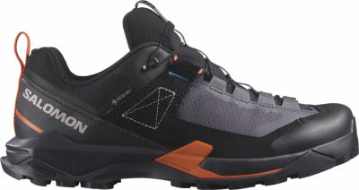 Salomon X Ultra Alpine GTX Outdoorschuhe