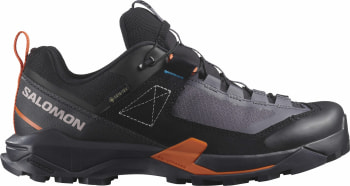 Salomon X Ultra Alpine GTX Outdoorschuhe