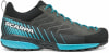 Scarpa Mescalito GTX Zustiegschuhe
