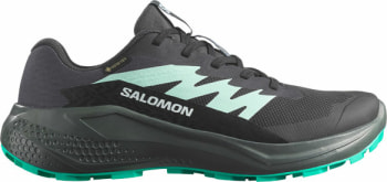 Salomon Alphaglide GTX trailové běžecké boty