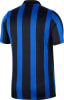 Nike Inter Mailand 2026/27 Stadium Heimtrikot