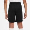 Nike Park 20 Trainingsshorts