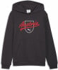 ÖFB 2026 Culture Hoodie