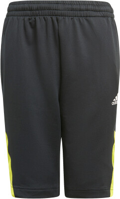 adidas Predator Shorts