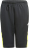 adidas Predator Shorts