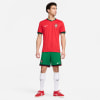 Nike Portugal 2024 Heimtrikot