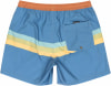 Quiksilver Everyday Straight Badeshorts
