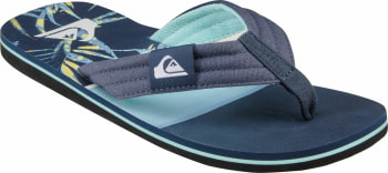 Quiksilver Molokai Layback Hide Palm žabky
