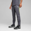Puma IndividualLIGA Trainingshose