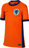 Nike Niederlande 2024 Heimtrikot