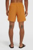 O'Neill Cali Swim Badeshorts