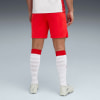 Puma FC Red Bull Salzburg 25/26 Shorts