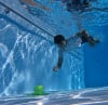 Sunflex Jellyfish Neopren