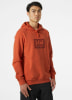Helly Hansen HH Box férfi kapucnis felső
