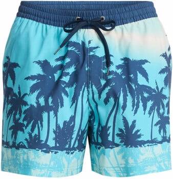 Quiksilver Everyday Badeshorts